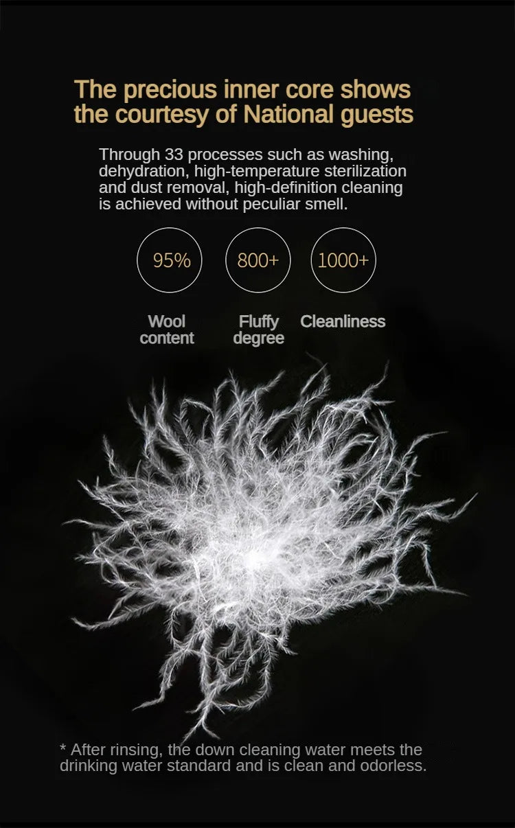 Goose Pillow – Premium Ergonomic Comfort for Better Sleep